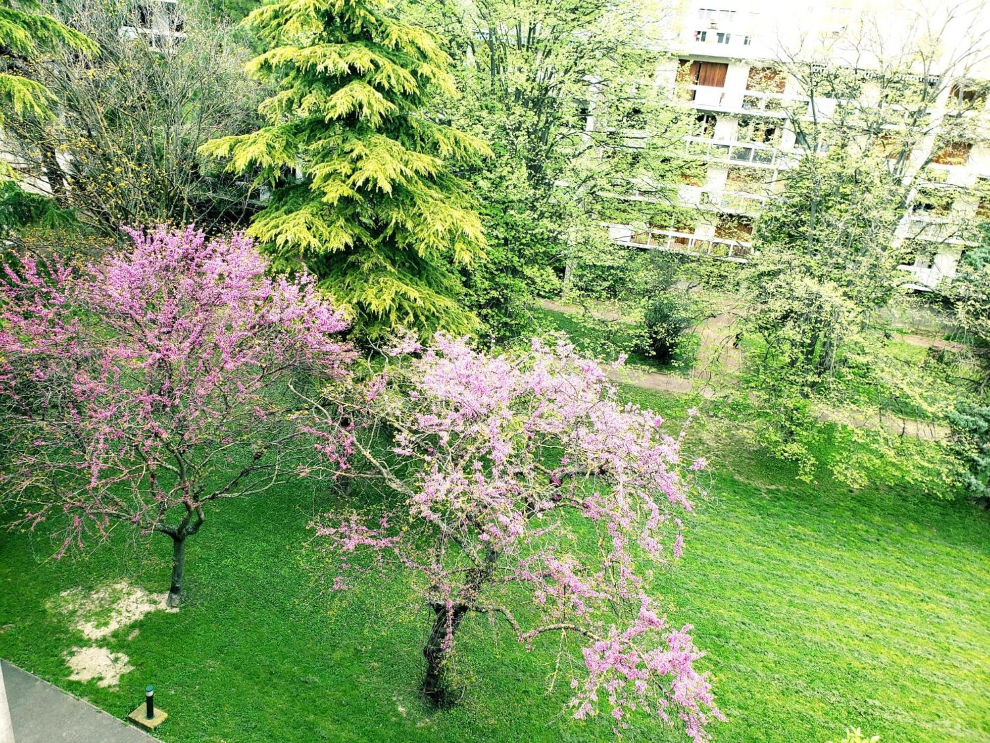 Suite From 1 To 6 - Bathtubs In Rooms - Air Conditioned Residential Appartement - Self-Arrival - Wifi - Netflix Disney - Kitchen - Laundry - Parking Αβινιόν Εξωτερικό φωτογραφία